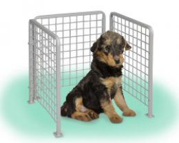 Stojan na pejsky malý