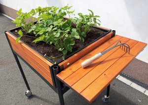 Krabův mobilní záhon